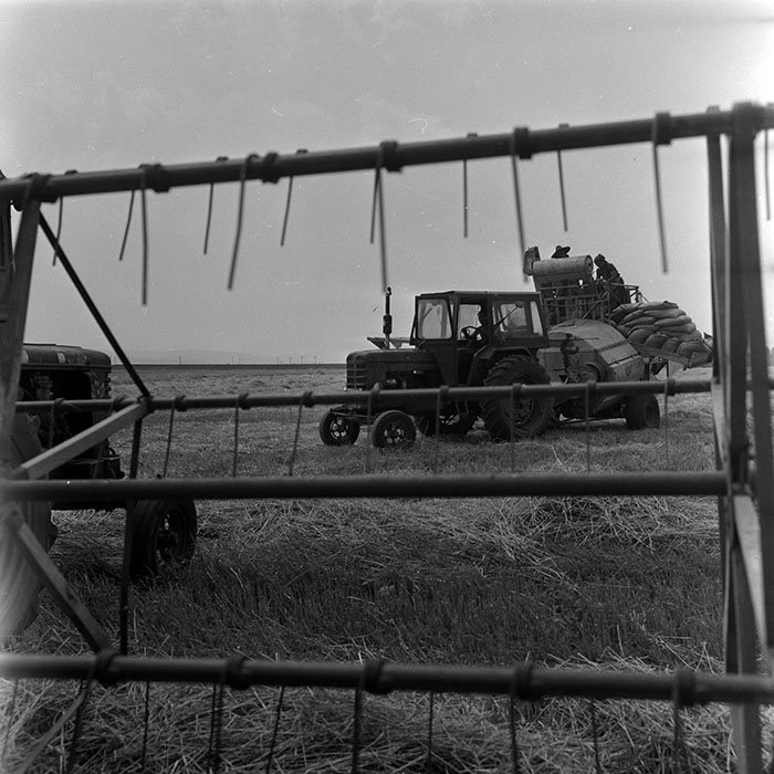 minerva_1967-1973_c4r12_026