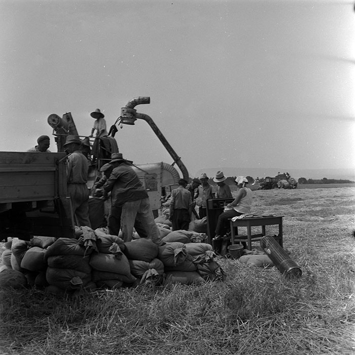 minerva_1967-1973_c4r12_027