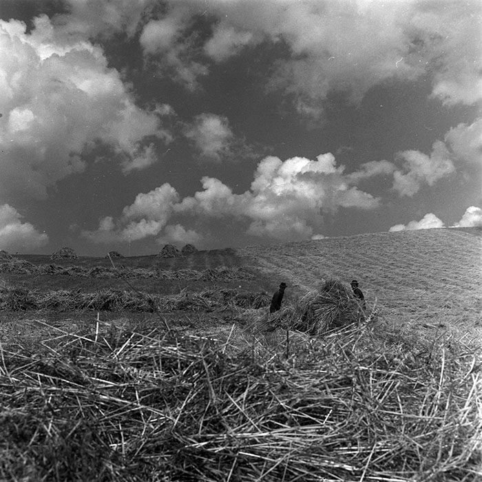 minerva_1967-1973_c4r12_028