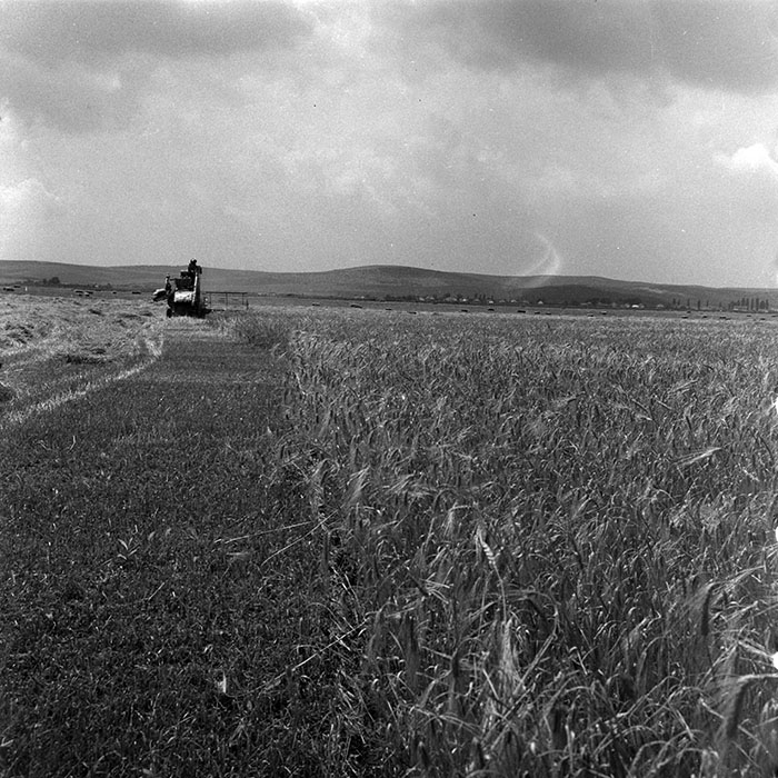 minerva_1967-1973_c4r12_033