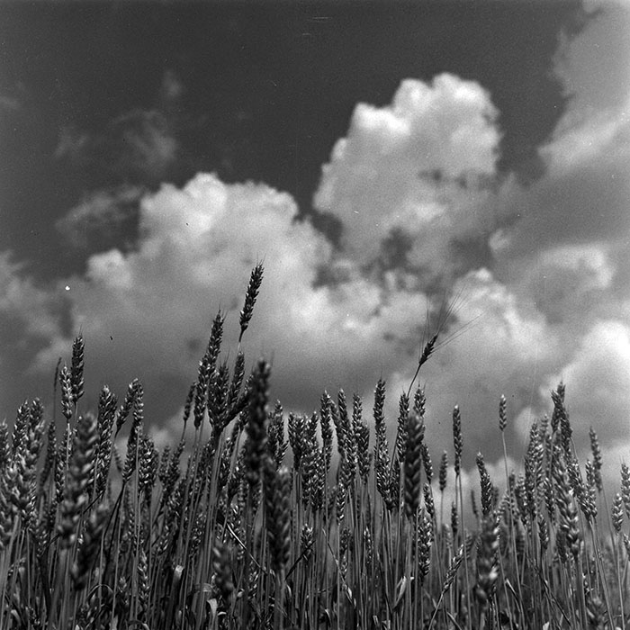 minerva_1967-1973_c4r12_034