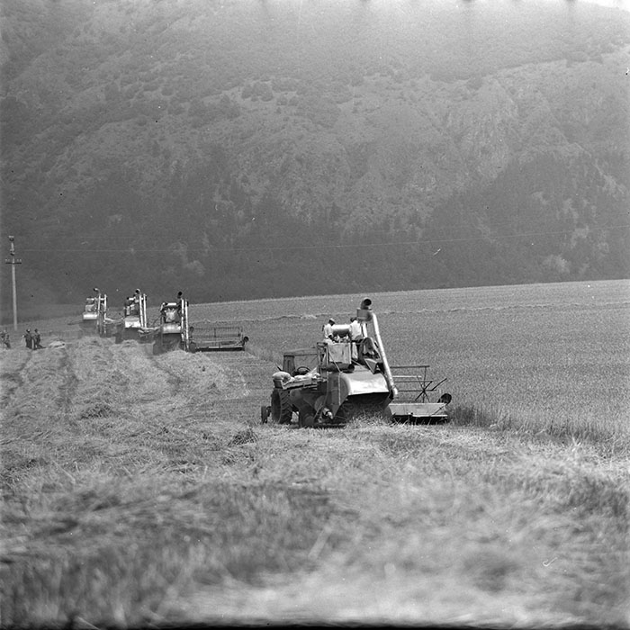 minerva_1967-1973_c4r14_003