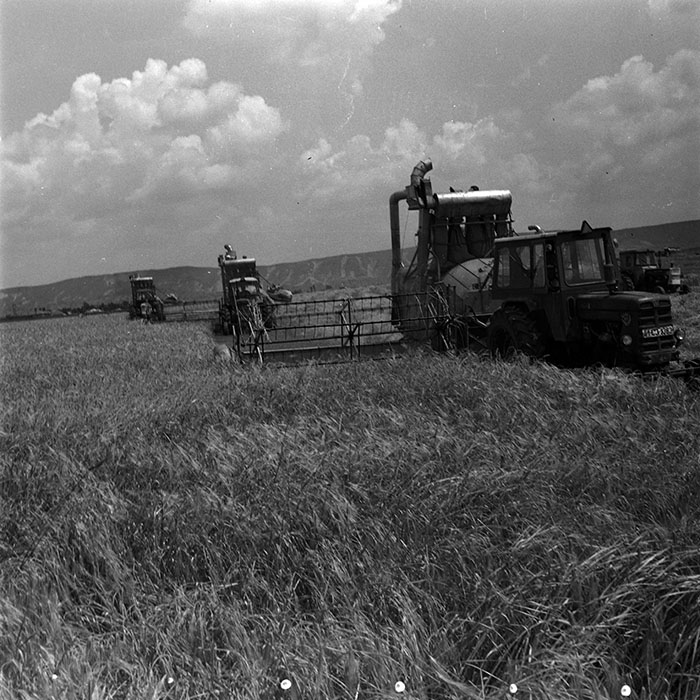 minerva_1967-1973_c4r14_004