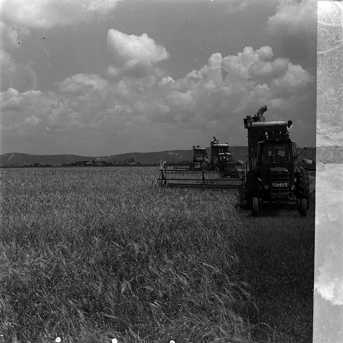 minerva_1967-1973_c4r14_005