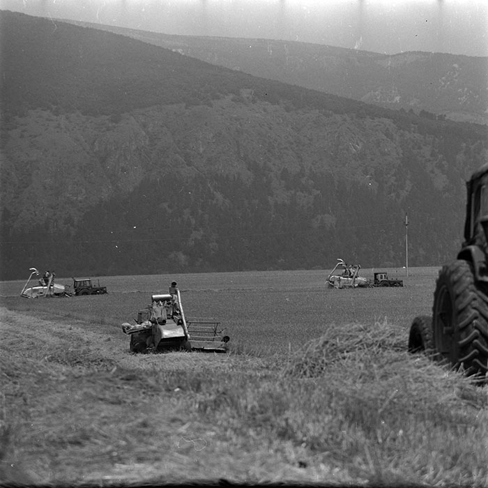 minerva_1967-1973_c4r14_006