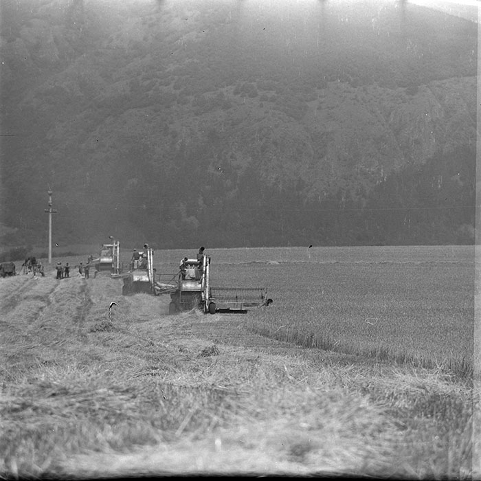 minerva_1967-1973_c4r14_009