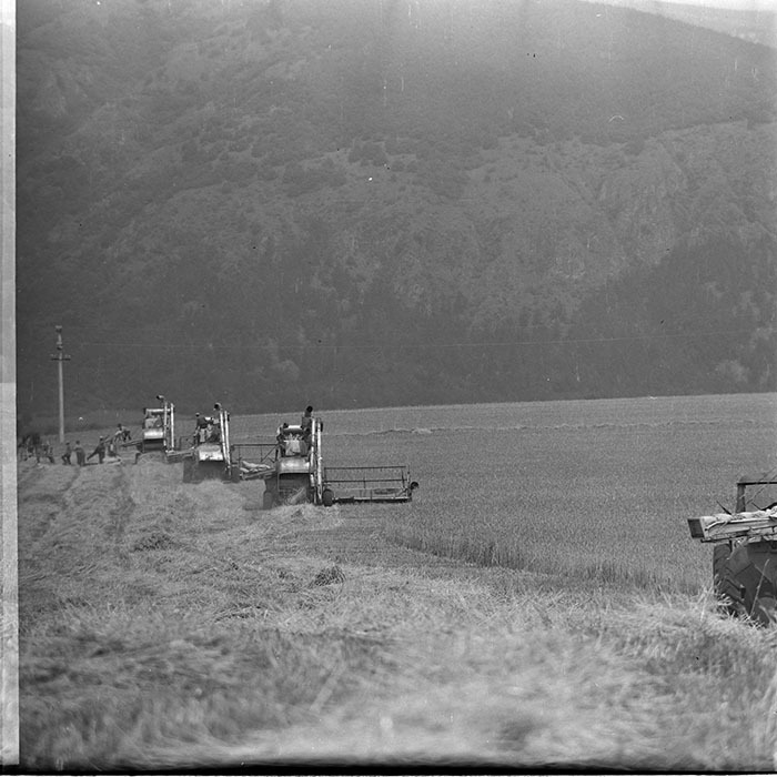 minerva_1967-1973_c4r14_010