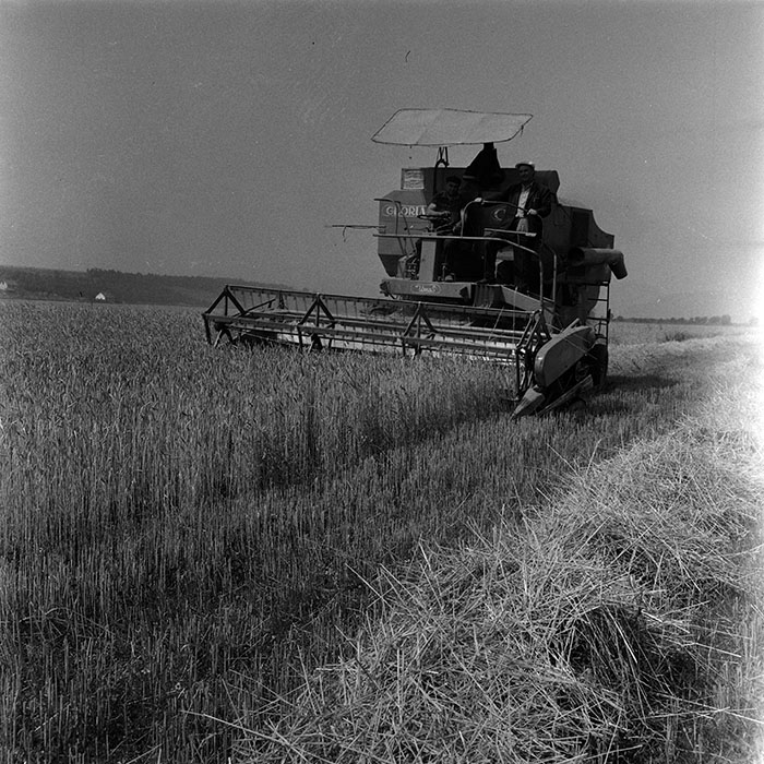 minerva_1967-1973_c4r14_012