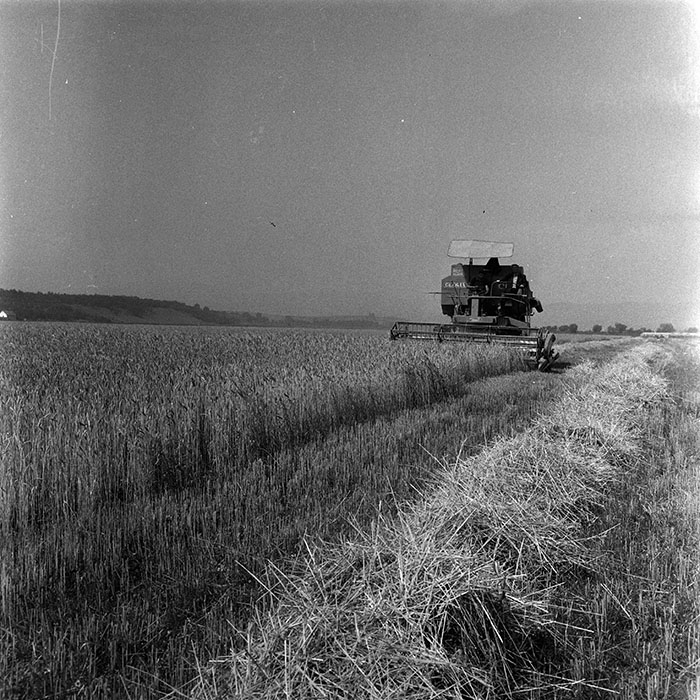 minerva_1967-1973_c4r14_013