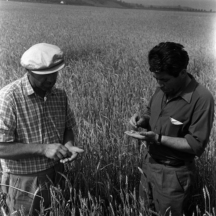 minerva_1967-1973_c4r14_014