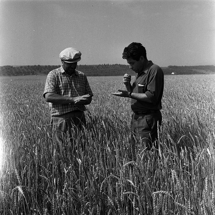 minerva_1967-1973_c4r14_015