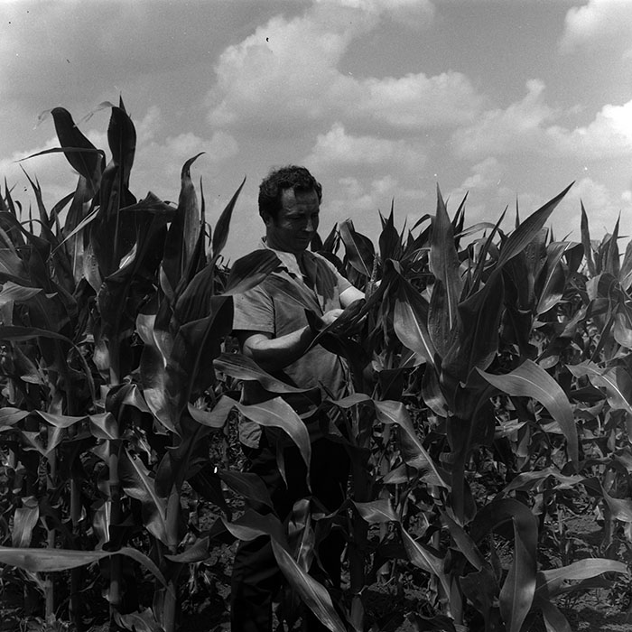 minerva_1967-1973_c4r14_018