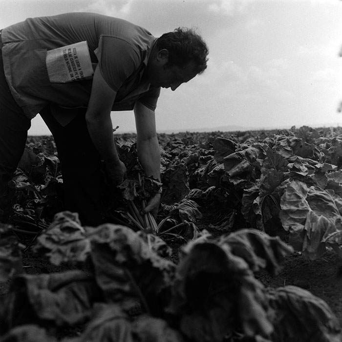 minerva_1967-1973_c4r14_019