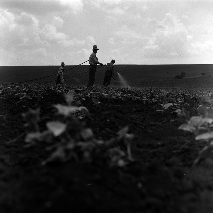 minerva_1967-1973_c4r14_020