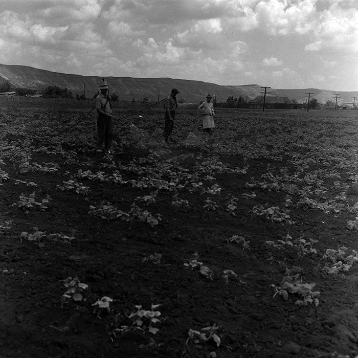 minerva_1967-1973_c4r14_021