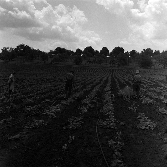 minerva_1967-1973_c4r14_022