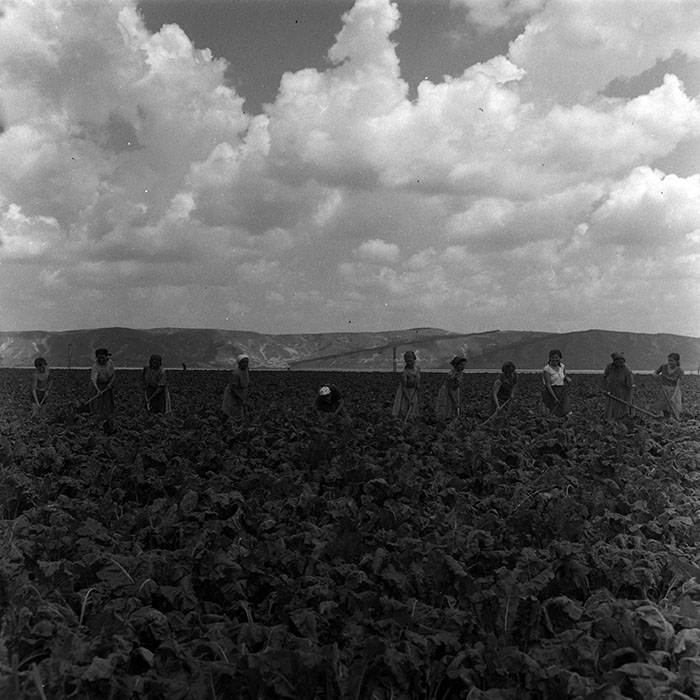 minerva_1967-1973_c4r14_024