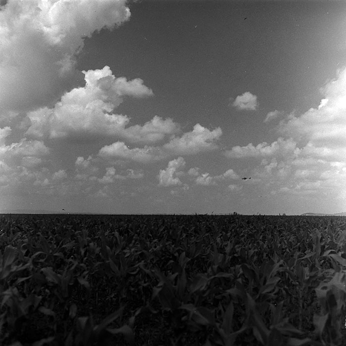 minerva_1967-1973_c4r14_027