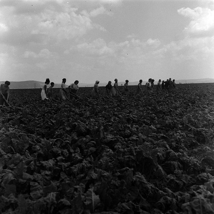 minerva_1967-1973_c4r14_028