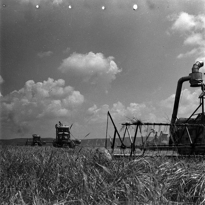 minerva_1967-1973_c4r14_029