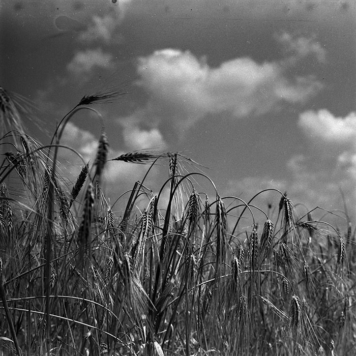 minerva_1967-1973_c4r14_031