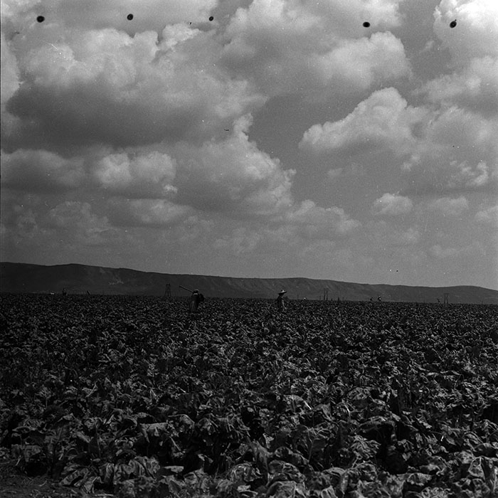 minerva_1967-1973_c4r14_036