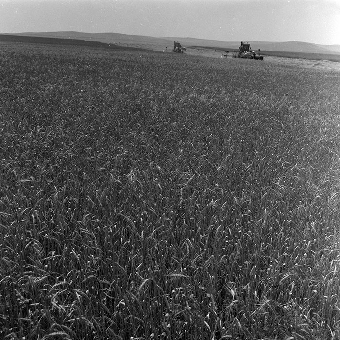 minerva_1967-1973_c4r16_001