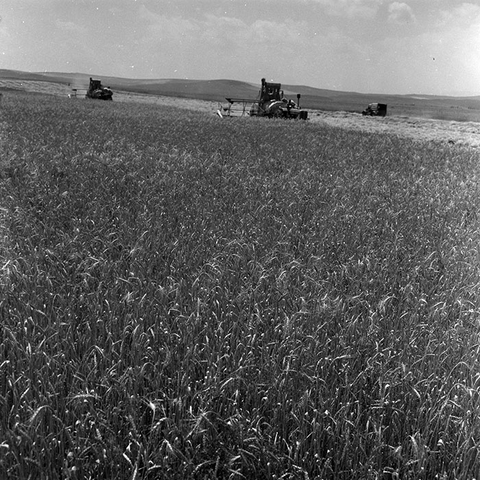 minerva_1967-1973_c4r16_002