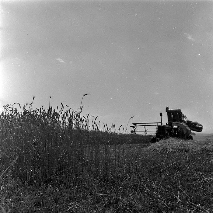 minerva_1967-1973_c4r16_003