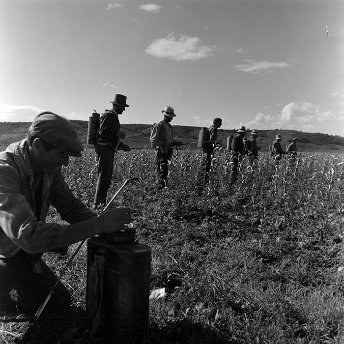 minerva_1967-1973_c4r16_005