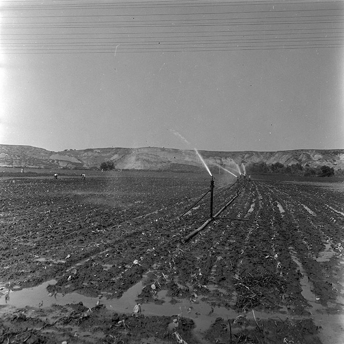 minerva_1967-1973_c4r17_002