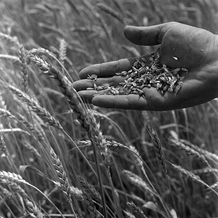 minerva_1967-1973_c4r17_004