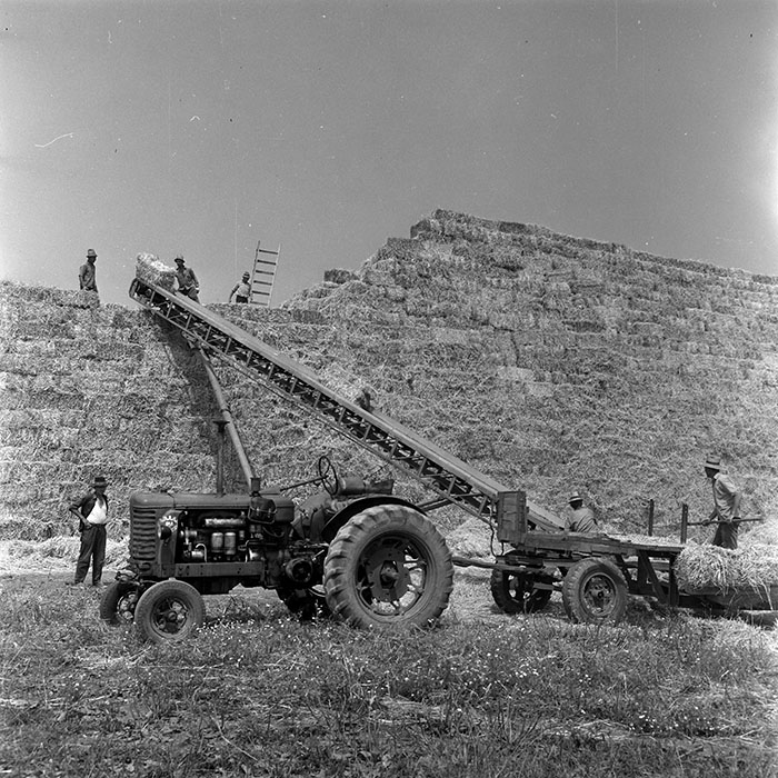 minerva_1967-1973_c4r17_009