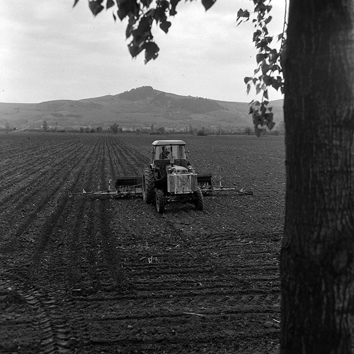 minerva_1967-1973_c4r18_001