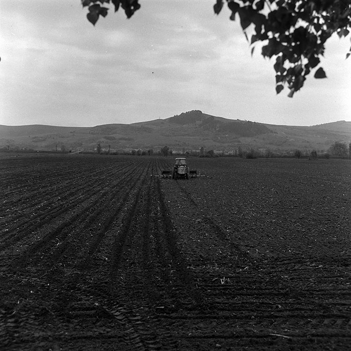 minerva_1967-1973_c4r18_003