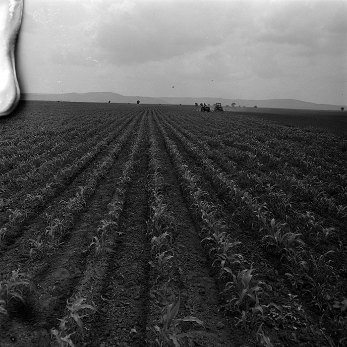 minerva_1967-1973_c4r19_001