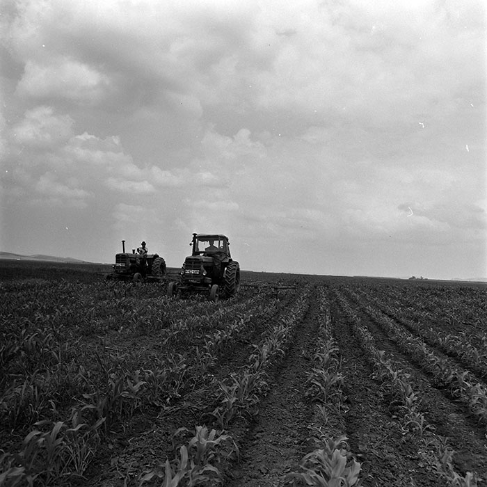 minerva_1967-1973_c4r19_003