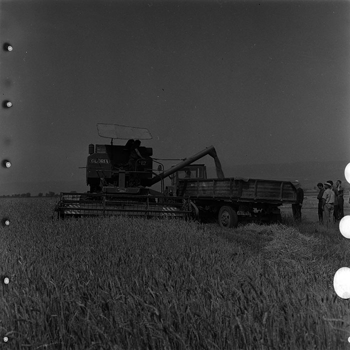 minerva_1967-1973_c4r25_001