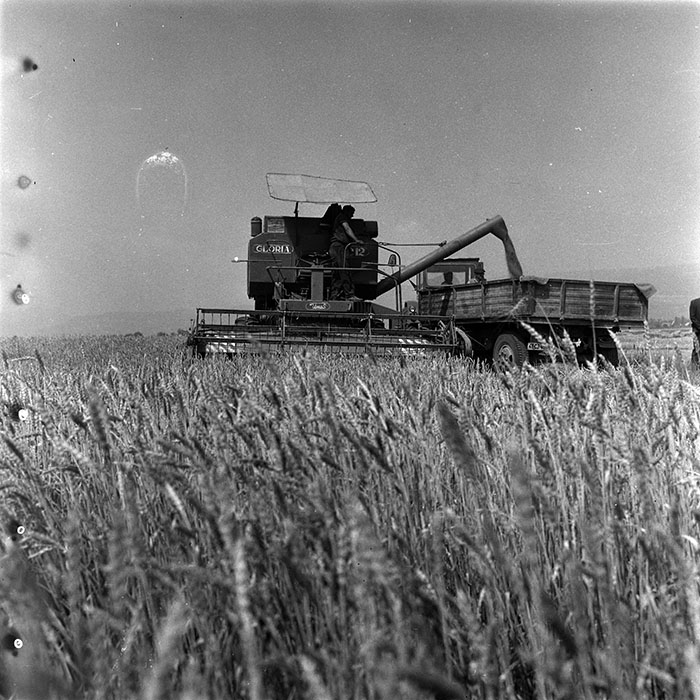 minerva_1967-1973_c4r25_002