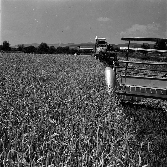 minerva_1967-1973_c4r25_006