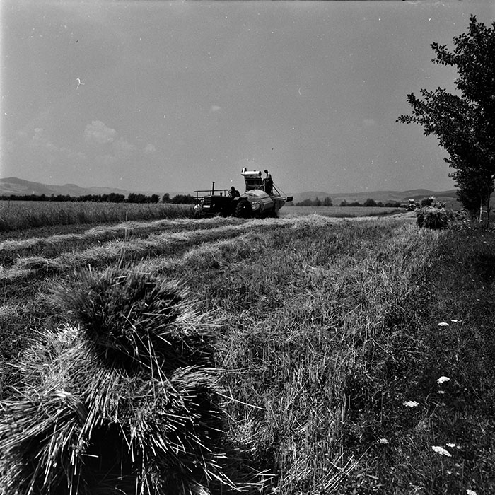 minerva_1967-1973_c4r25_012