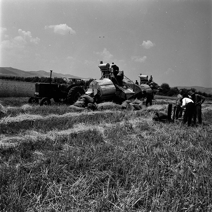 minerva_1967-1973_c4r25_013