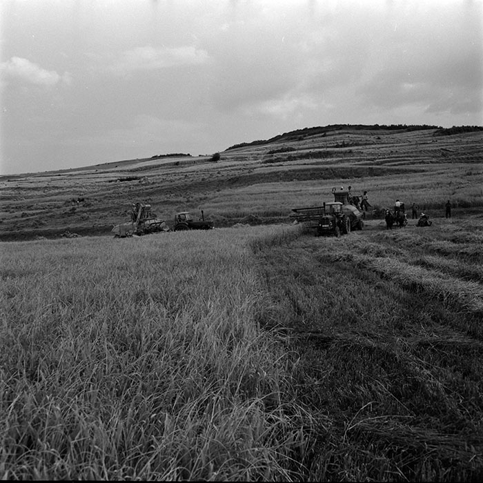 minerva_1967-1973_c4r25_018