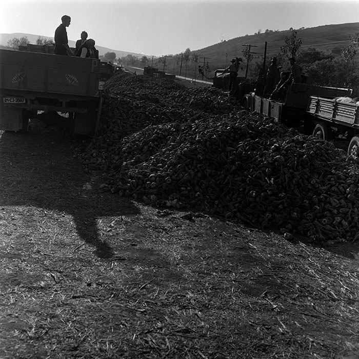 minerva_1967-1973_c4r2_014