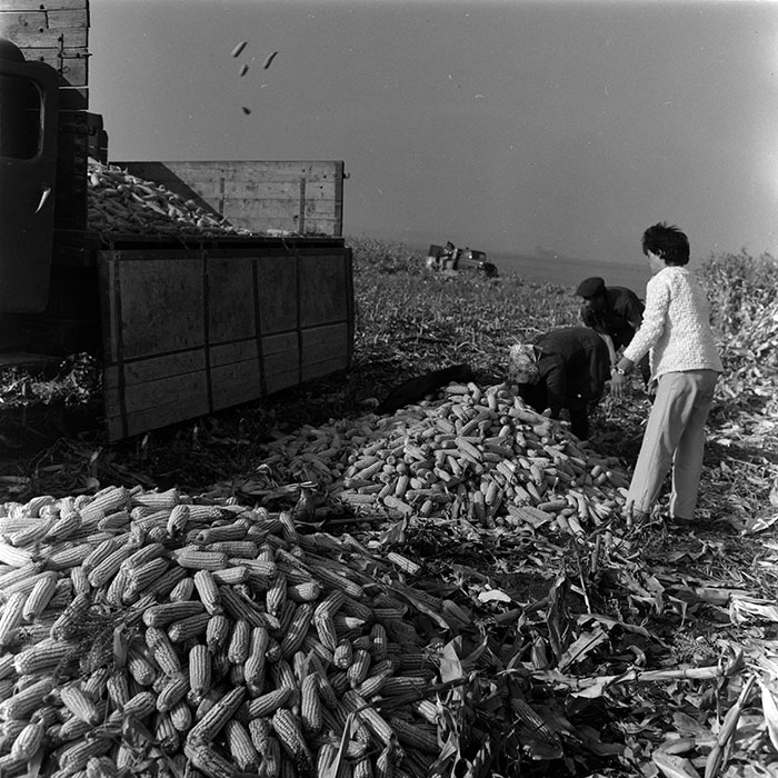 minerva_1967-1973_c4r2_020