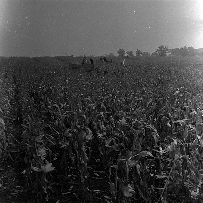 minerva_1967-1973_c4r2_022