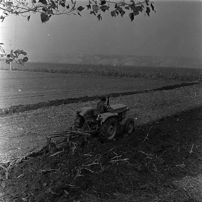 minerva_1967-1973_c4r2_024