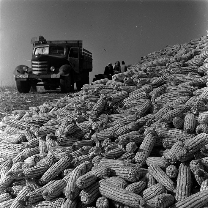 minerva_1967-1973_c4r2_031