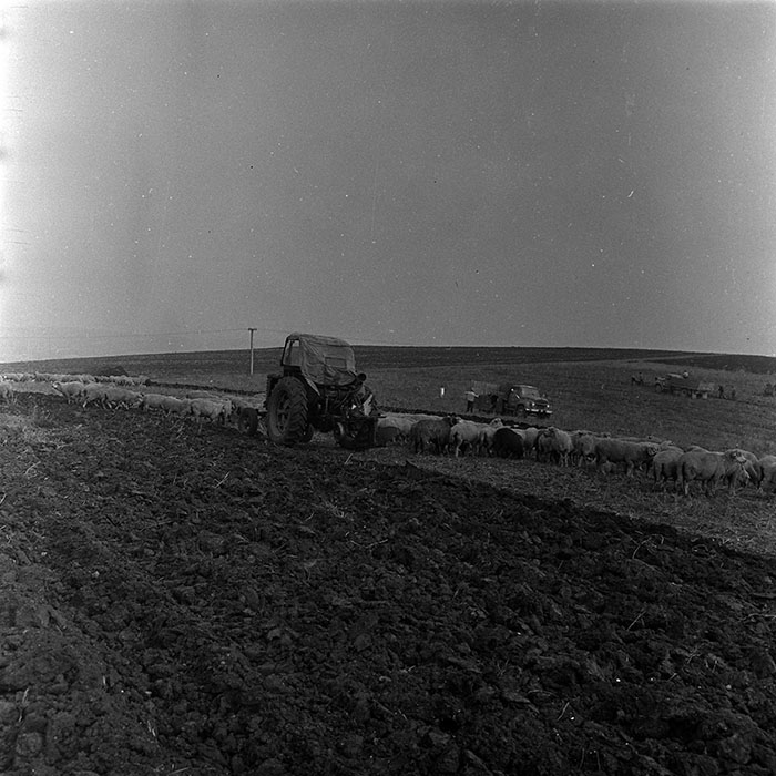 minerva_1967-1973_c4r2_037