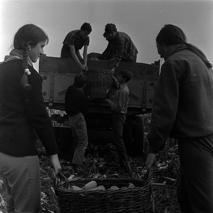 minerva_1967-1973_c4r2_038